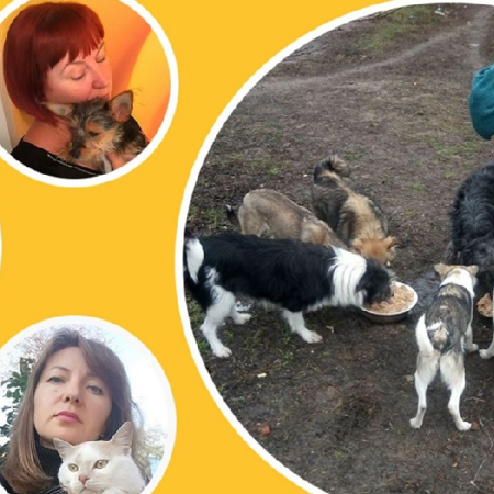 Захистити чотирилапих: історія небайдужих волонтерів Гадяча