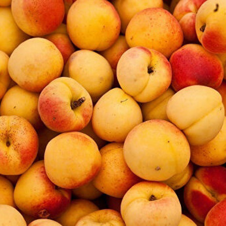 Абрикосовые секреты 