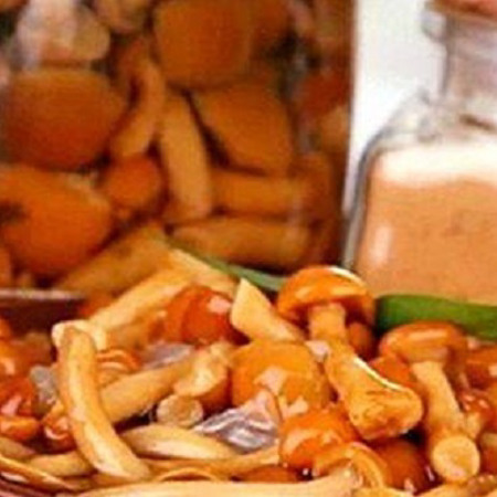 Опеньки «з діжки»