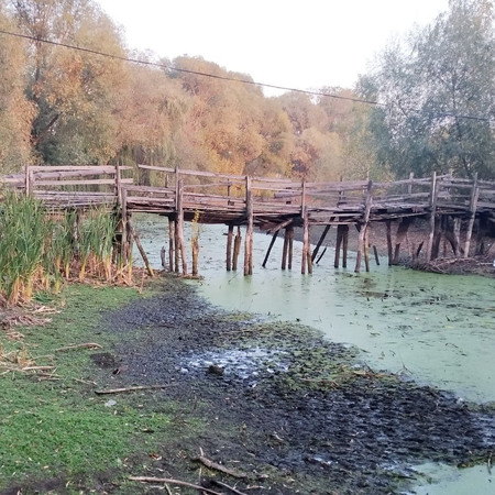Міські водойми