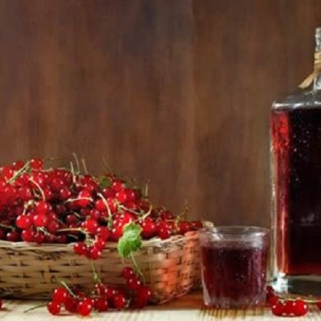 Лікувальне вино з калини