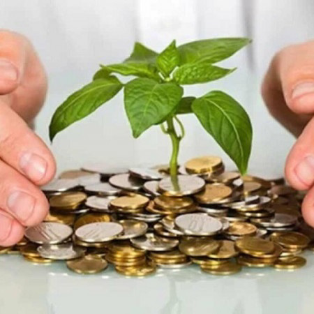 Пропозиції допомоги в погашенні боргу