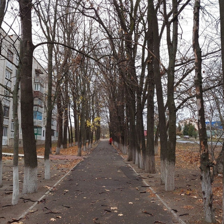 Цукровий завод