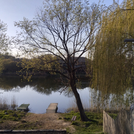 Центральний парк