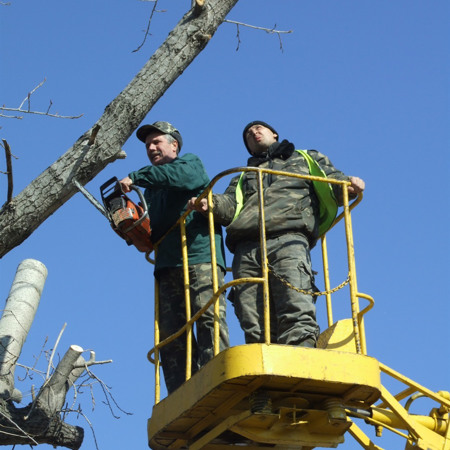 Підкорювачі вітру 💨