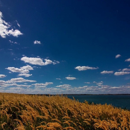 Природний заповідник «Розточчя»