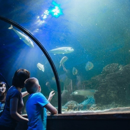 Океанаріум з підводним тунелем