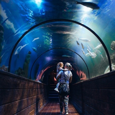 Київський океанаріум з підводним тунелем