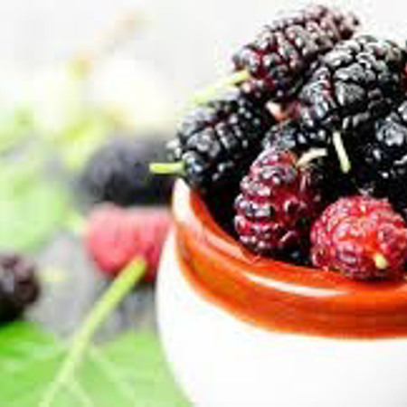 Варення та компот із шовковиці