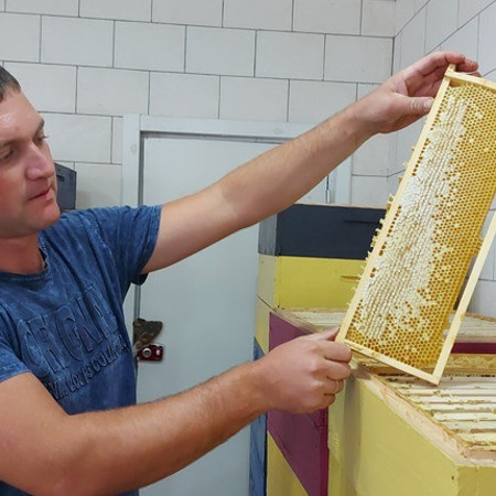 Пасічники Присамар'я