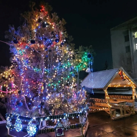 Головна ялинка