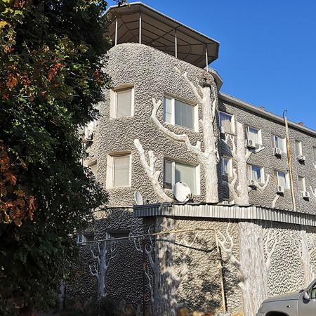 Будинок з деревами 