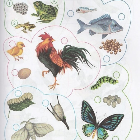  “В країні міркувань”