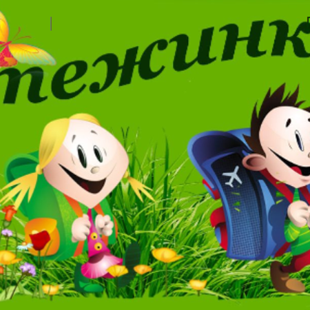  “Стежинки”