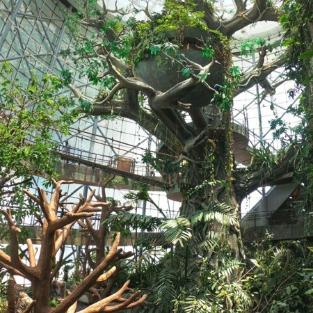 Green Planet