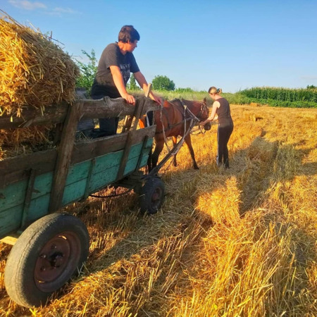Маргарита з Одещини: "Варю сир та надихаю рецептиками"