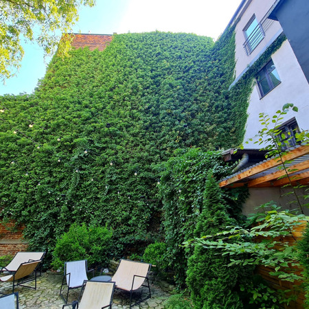 Зелений курс