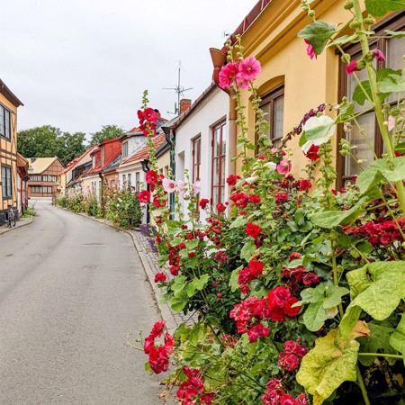 Інфраструктура