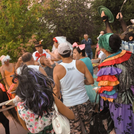 Кури або цигани