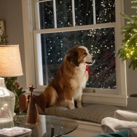 Любіть Куперів