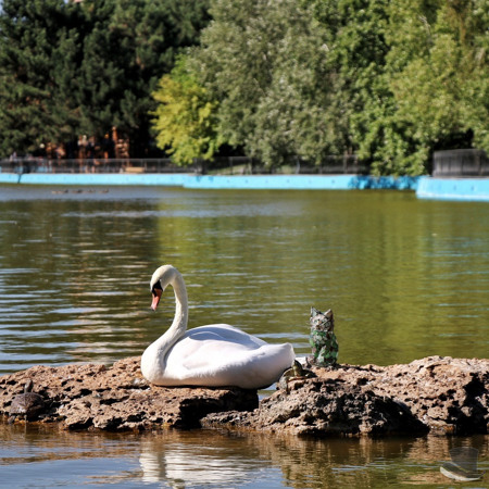 Побачення - прогулянка