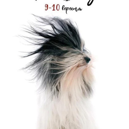 Фестиваль PesDay у Києві