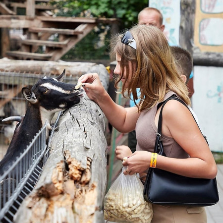 Молодіжне. Нью-Васюки