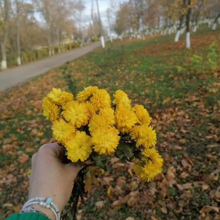 Повстанське: обійнятися з деревами та помилуватися заходом сонця