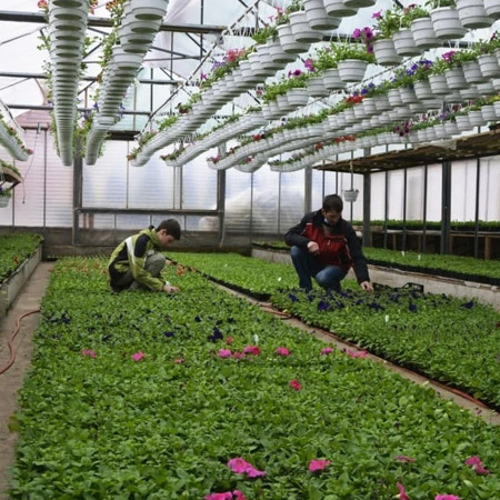 Неможливого немає нічого: Володимир Рослик від хобі до сімейного бізнесу