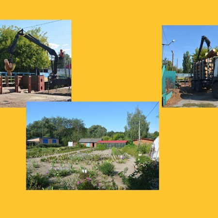 Чи може ліс жити без людини? Один день із життя ДП “Гадяцький лісгоп”: фоторепортаж