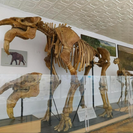 Національний науково-природничий музей НАН України