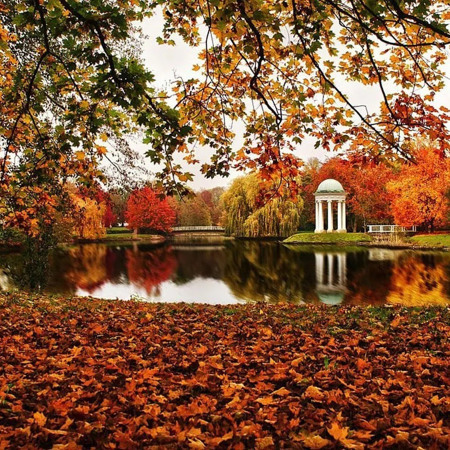 Парк "Софіївка"