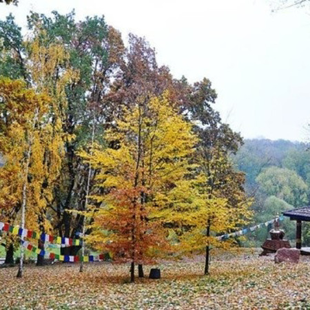 Національний ботанічний сад ім. Гришка НАН України