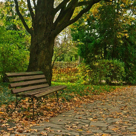 Сирецький парк