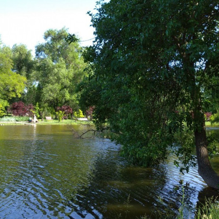 Парк відпочинку «Дубова діброва»