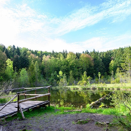 Мертве озеро (Журавлине)