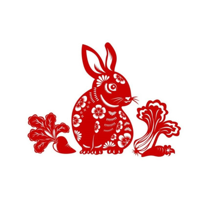 Кролик /Кіт