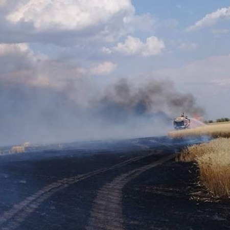 Збір урожаю на Херсонщині під дроновими атаками росіян