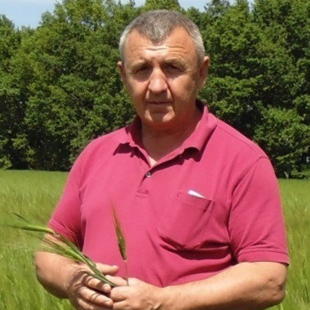 Шановні працівники ТОВ «У Петровича»! Славні трударі щедрих нив!