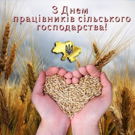 Шановні працівники «Гарант-Агро-4»!