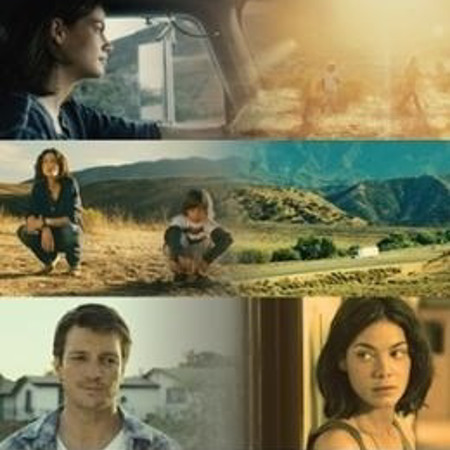 Далекобійниця (2009 р.)