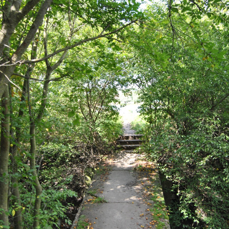 Рослинна арка