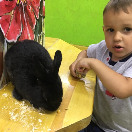 Радіон  Смірнов, 4 роки,  смт Петропавлівка