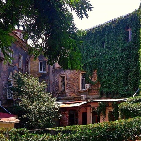 Одеські джунглі