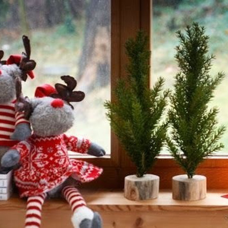 Ліс на підвіконні 