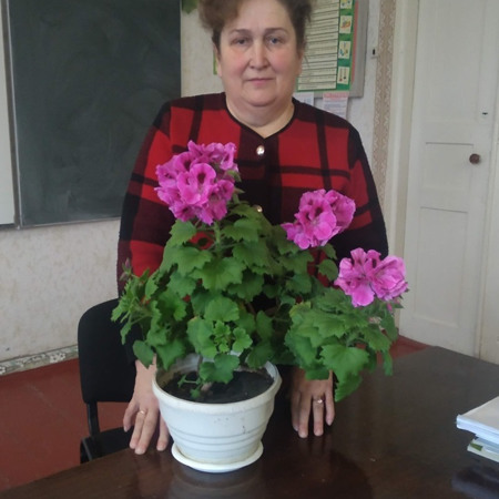 Лариса Матюхіна,  вчитель фізики та математики Лозівської філії