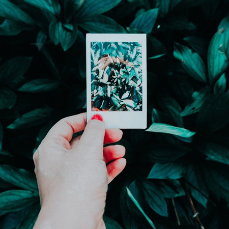 Adobe Photoshop Express