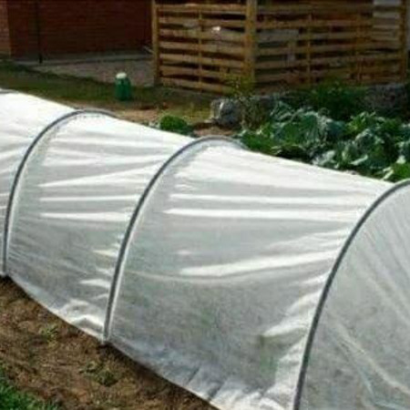 "Будівельний" (ТК "Берізка")