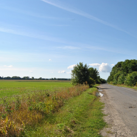 Арка із дерев