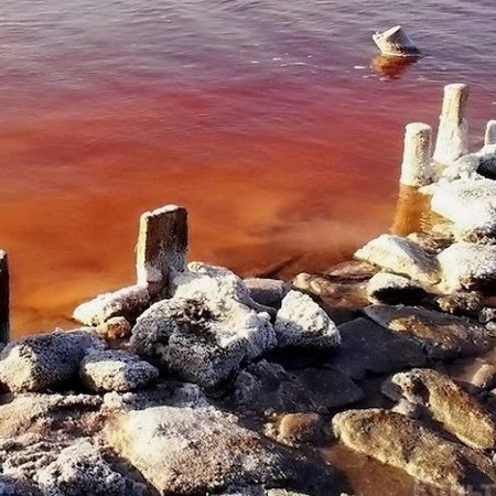 Сіль, грязі та інша магія Куяльницького лиману